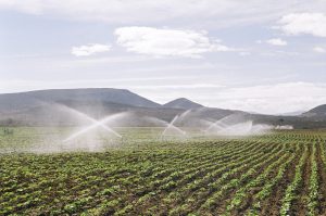 irrigação agrícola