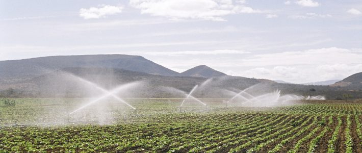 irrigação agrícola
