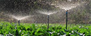 Irrigacao Agrícola